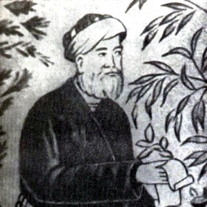 Абдуррахман Нураддин ибн Ахмад Джами - Изображение