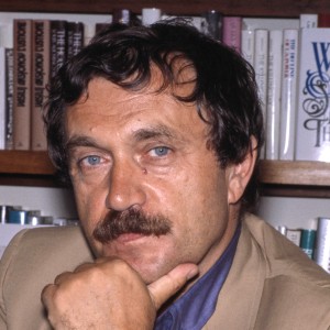 Василий Павлович Аксёнов - Изображение