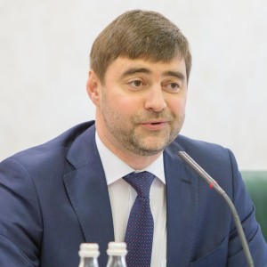 Сергей Владимирович Железняк - Изображение