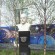 Валентин Саввич Пикуль - миниатюра изображения