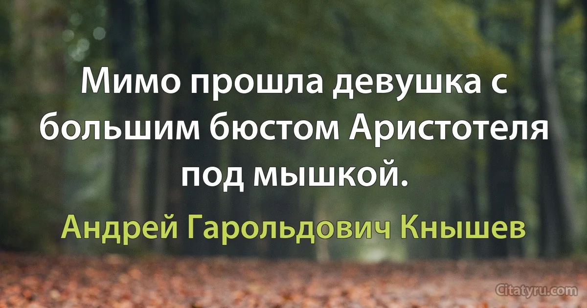 Мимо прошла девушка с большим бюстом Аристотеля под мышкой. (Андрей Гарольдович Кнышев)