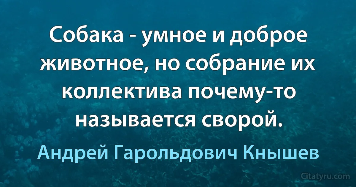 Собака - умное и доброе животное, но собрание их коллектива почему-то называется сворой. (Андрей Гарольдович Кнышев)