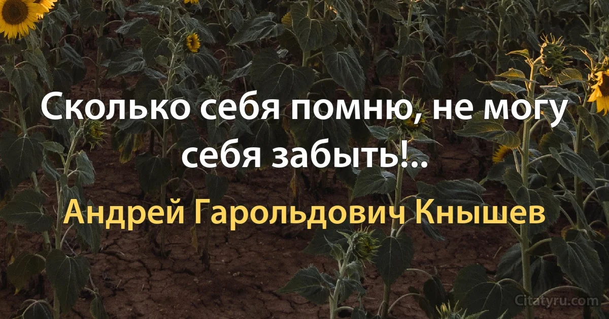 Сколько себя помню, не могу себя забыть!.. (Андрей Гарольдович Кнышев)