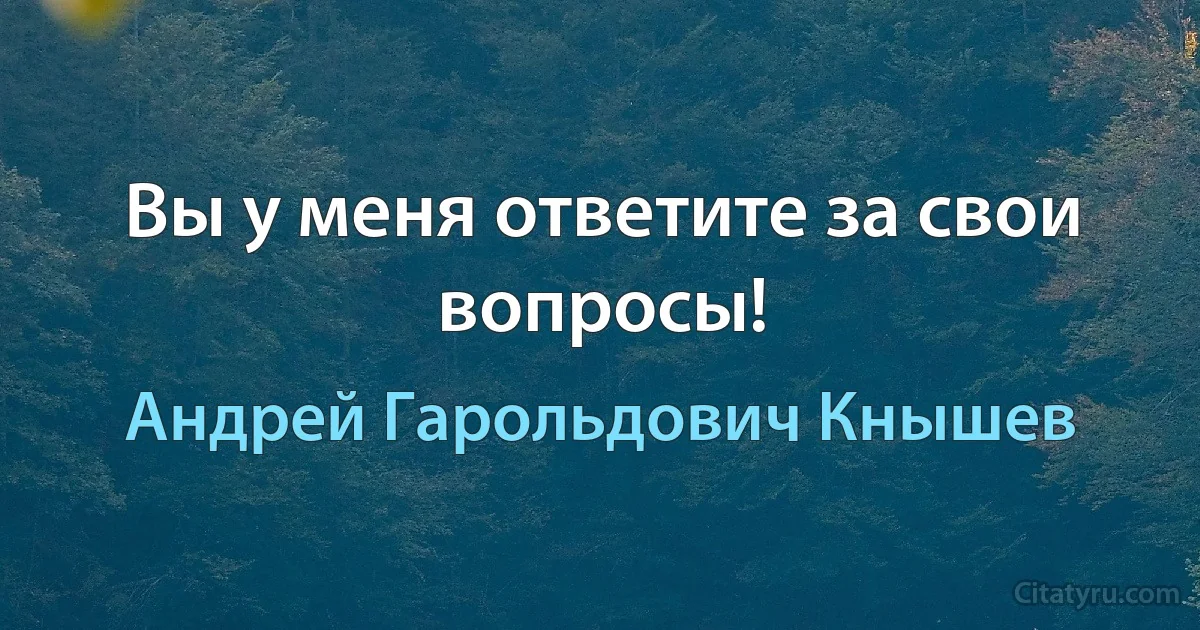 Вы у меня ответите за свои вопросы! (Андрей Гарольдович Кнышев)