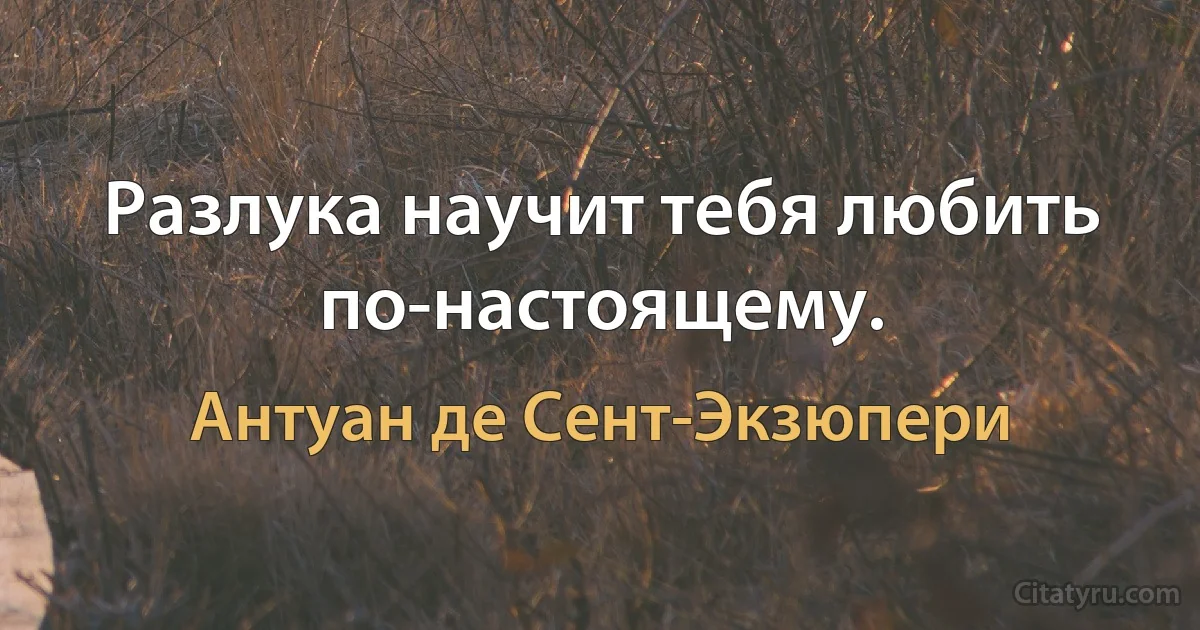 Разлука научит тебя любить по-настоящему. (Антуан де Сент-Экзюпери)