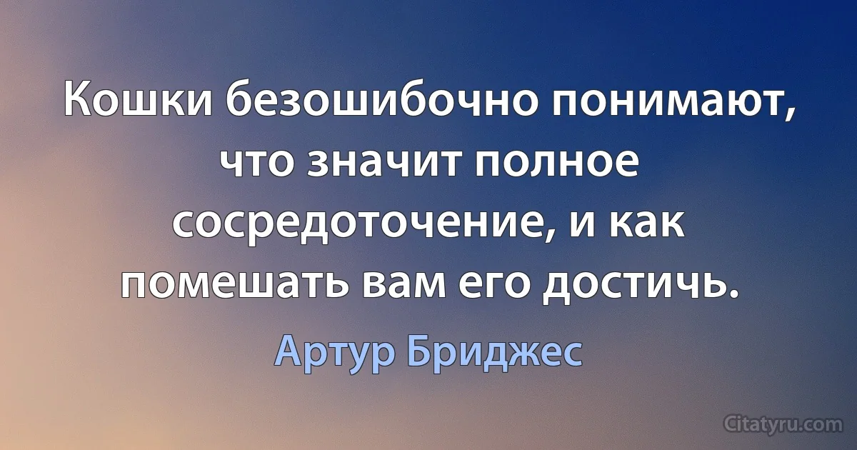 Кошки безошибочно понимают, что значит полное сосредоточение, и как помешать вам его достичь. (Артур Бриджес)