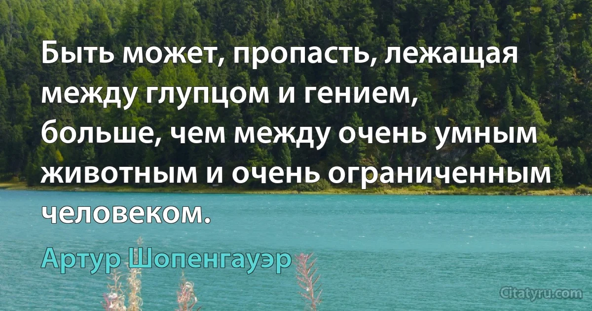 Быть может, пропасть, лежащая между глупцом и гением, больше, чем между очень умным животным и очень ограниченным человеком. (Артур Шопенгауэр)