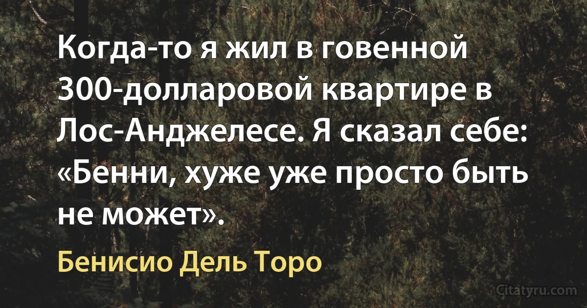 Когда-то я жил в говенной 300-долларовой квартире в Лос-Анджелесе. Я сказал себе: «Бенни, хуже уже просто быть не может». (Бенисио Дель Торо)