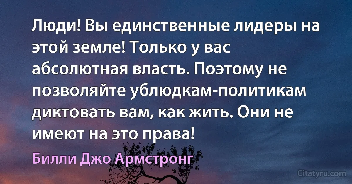 Люди! Вы единственные лидеры на этой земле! Только у вас абсолютная власть. Поэтому не позволяйте ублюдкам-политикам диктовать вам, как жить. Они не имеют на это права! (Билли Джо Армстронг)