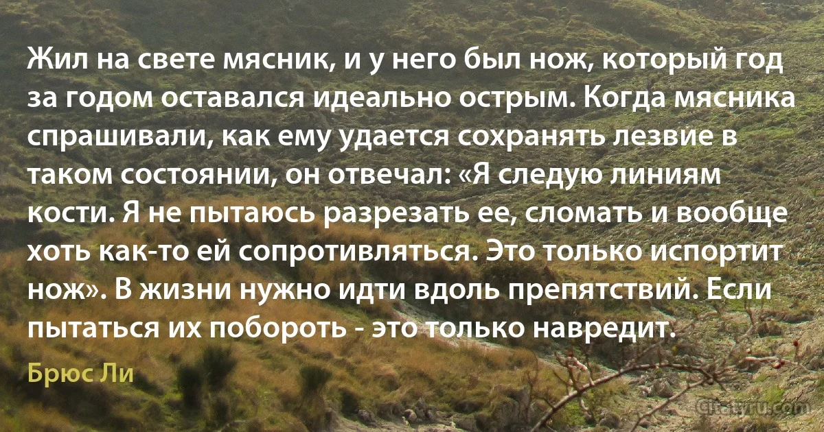 Жил на свете мясник, и у него был нож, который год за годом оставался идеально острым. Когда мясника спрашивали, как ему удается сохранять лезвие в таком состоянии, он отвечал: «Я следую линиям кости. Я не пытаюсь разрезать ее, сломать и вообще хоть как-то ей сопротивляться. Это только испортит нож». В жизни нужно идти вдоль препятствий. Если пытаться их побороть - это только навредит. (Брюс Ли)