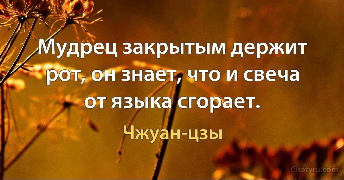 Мудрец закрытым держит рот, он знает, что и свеча от языка сгорает. (Чжуан-цзы)