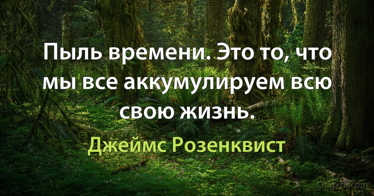 Пыль времени. Это то, что мы все аккумулируем всю свою жизнь. (Джеймс Розенквист)