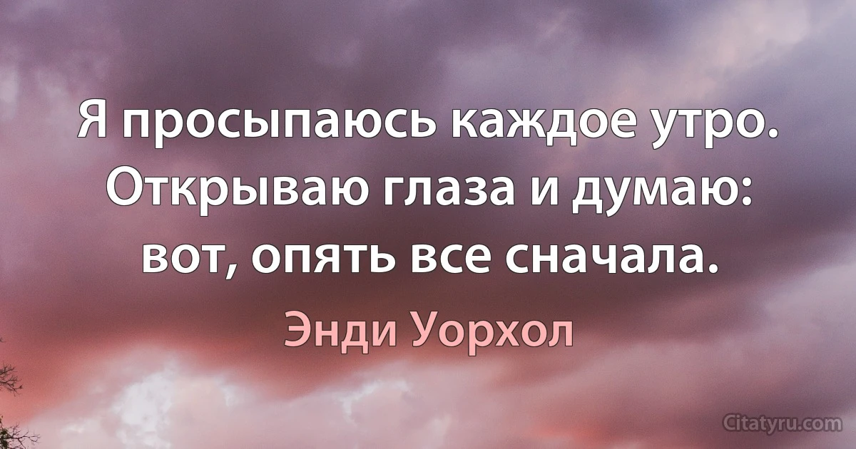 Я просыпаюсь каждое утро. Открываю глаза и думаю: вот, опять все сначала. (Энди Уорхол)