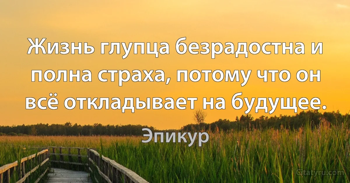 Жизнь глупца безрадостна и полна страха, потому что он всё откладывает на будущее. (Эпикур)