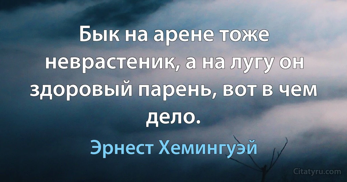 Бык на арене тоже неврастеник, а на лугу он здоровый парень, вот в чем дело. (Эрнест Хемингуэй)