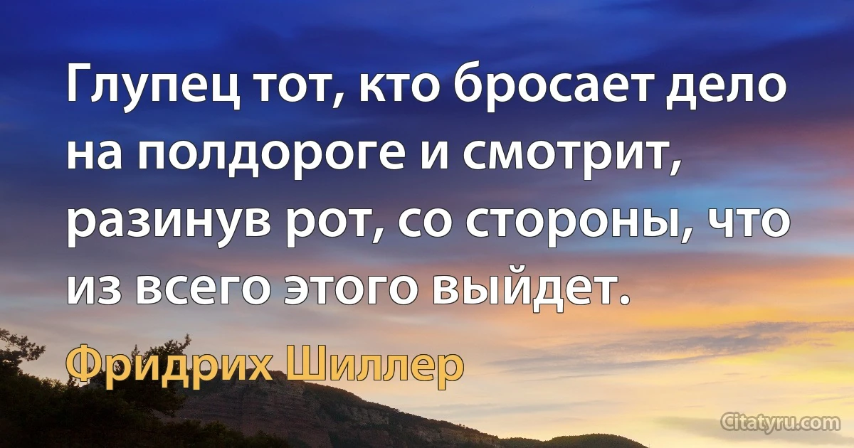 Глупец тот, кто бросает дело на полдороге и смотрит, разинув рот, со стороны, что из всего этого выйдет. (Фридрих Шиллер)