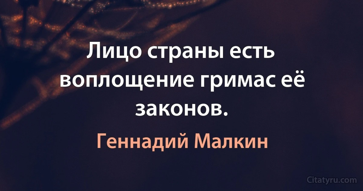 Лицо страны есть воплощение гримас её законов. (Геннадий Малкин)