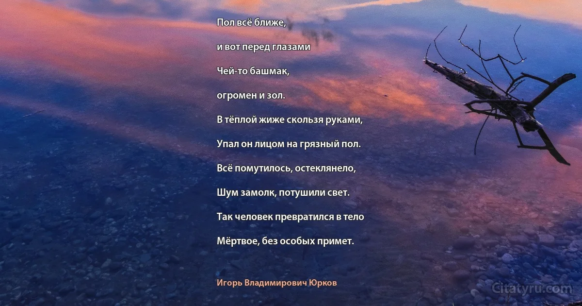 Пол всё ближе,

и вот перед глазами

Чей-то башмак,

огромен и зол.

В тёплой жиже скользя руками,

Упал он лицом на грязный пол.

Всё помутилось, остеклянело,

Шум замолк, потушили свет.

Так человек превратился в тело

Мёртвое, без особых примет. (Игорь Владимирович Юрков)