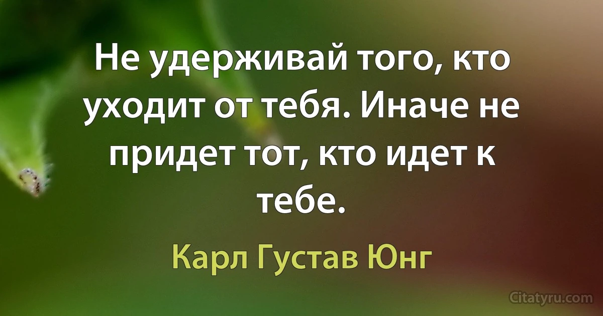 Не удерживай того, кто уходит от тебя. Иначе не придет тот, кто идет к тебе. (Карл Густав Юнг)