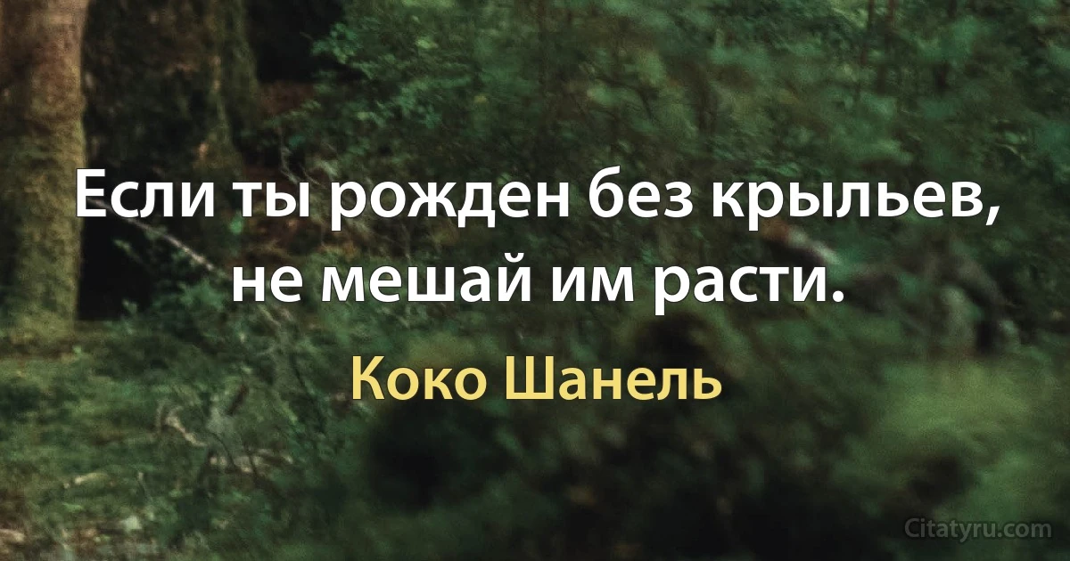 Если ты рожден без крыльев, не мешай им расти. (Коко Шанель)