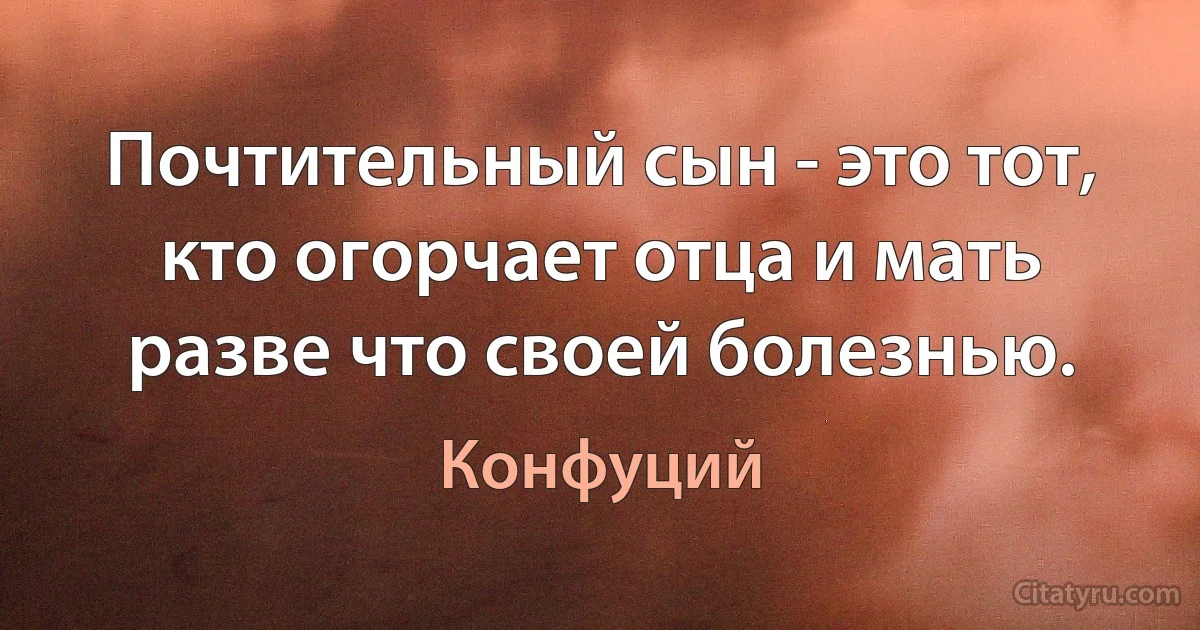 Почтительный сын - это тот, кто огорчает отца и мать разве что своей болезнью. (Конфуций)