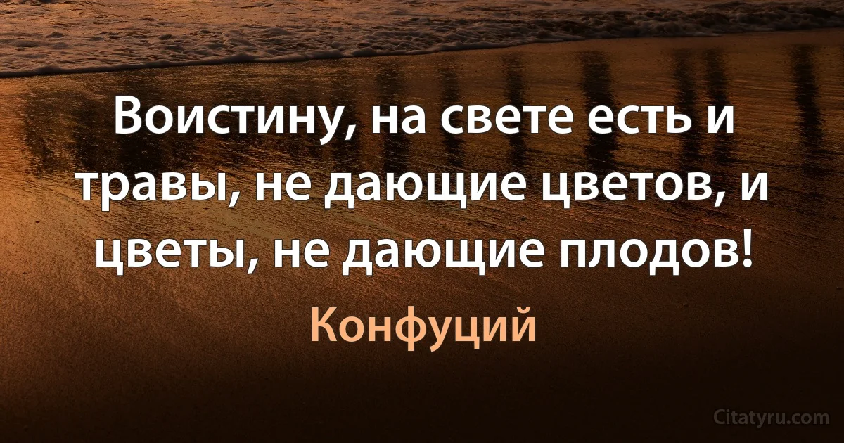 Воистину, на свете есть и травы, не дающие цветов, и цветы, не дающие плодов! (Конфуций)