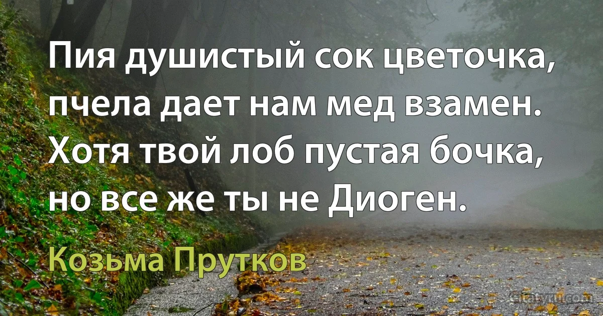 Пия душистый сок цветочка, пчела дает нам мед взамен. Хотя твой лоб пустая бочка, но все же ты не Диоген. (Козьма Прутков)