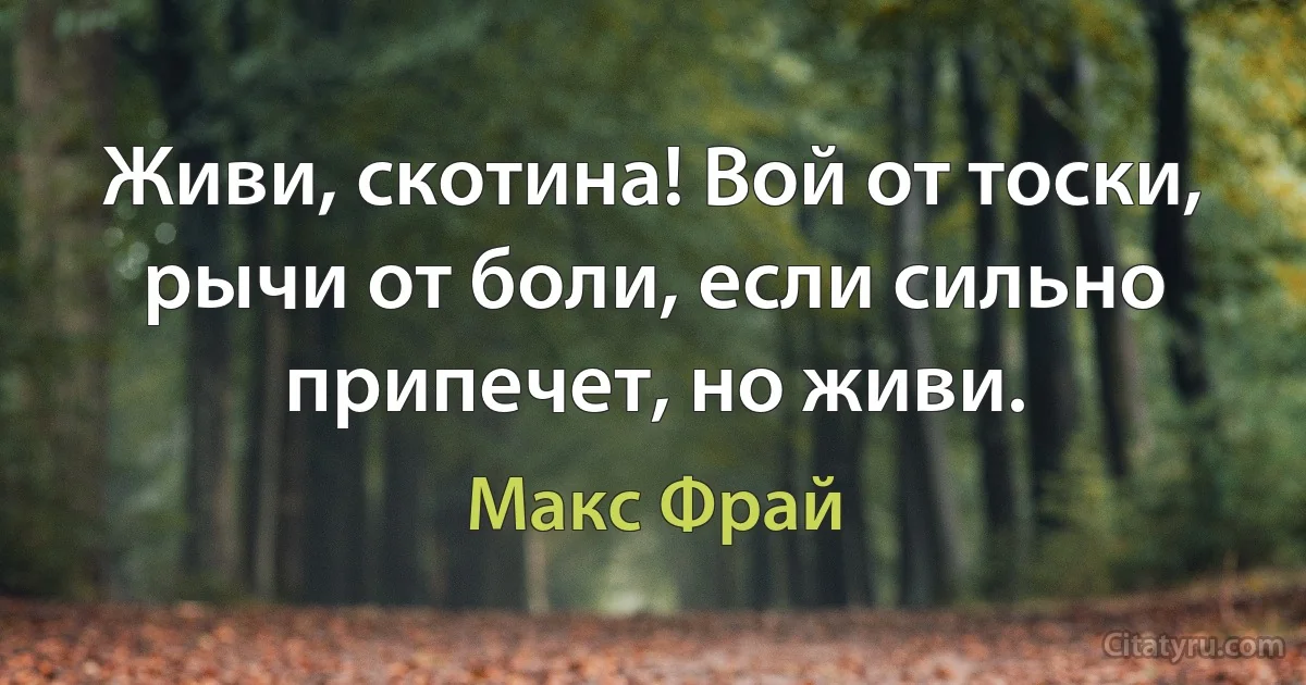 Живи, скотина! Вой от тоски, рычи от боли, если сильно припечет, но живи. (Макс Фрай)