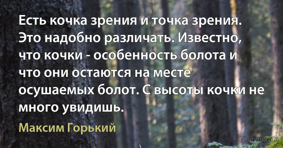 Есть кочка зрения и точка зрения. Это надобно различать. Известно, что кочки - особенность болота и что они остаются на месте осушаемых болот. С высоты кочки не много увидишь. (Максим Горький)