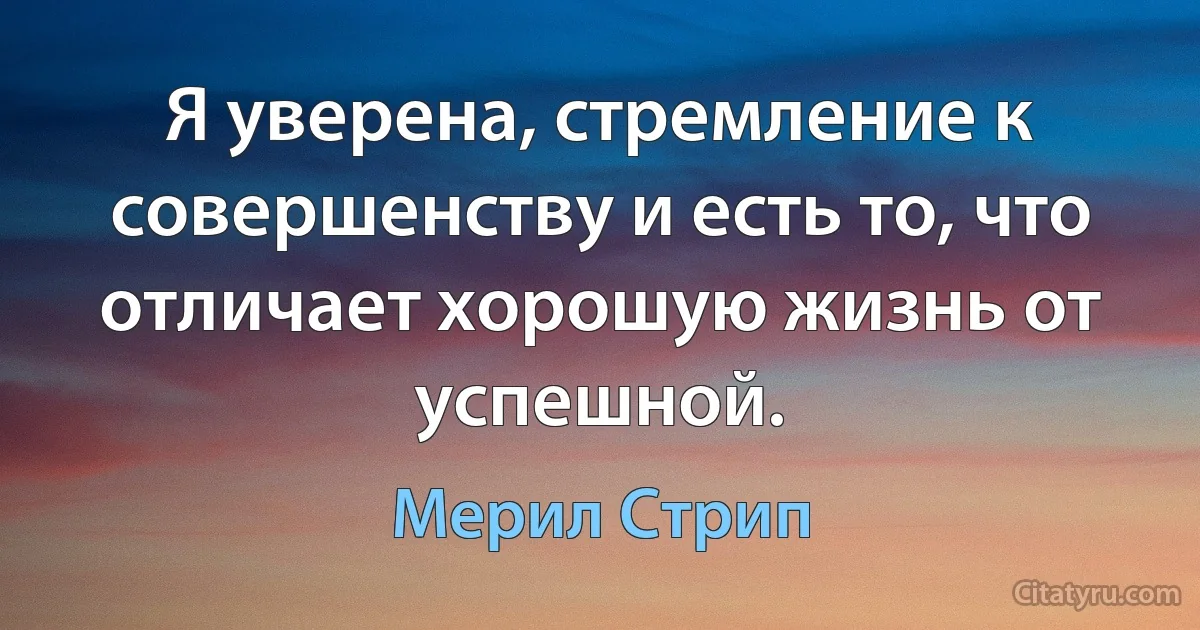 Я уверена, стремление к совершенству и есть то, что отличает хорошую жизнь от успешной. (Мерил Стрип)