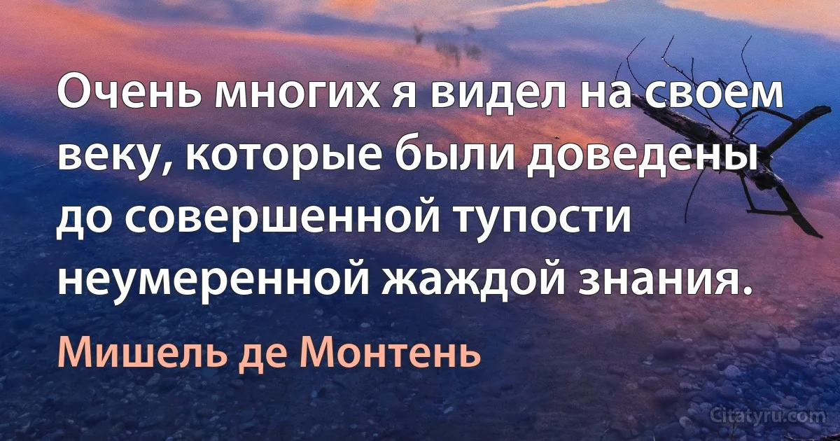 Очень многих я видел на своем веку, которые были доведены до совершенной тупости неумеренной жаждой знания. (Мишель де Монтень)