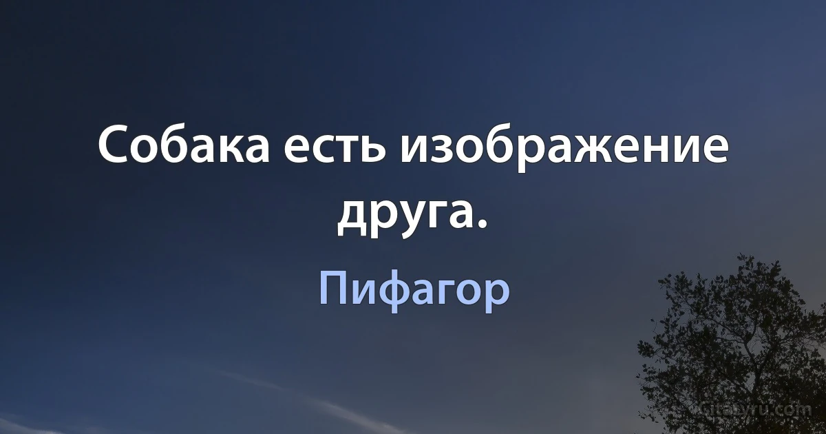 Собака есть изображение друга. (Пифагор)