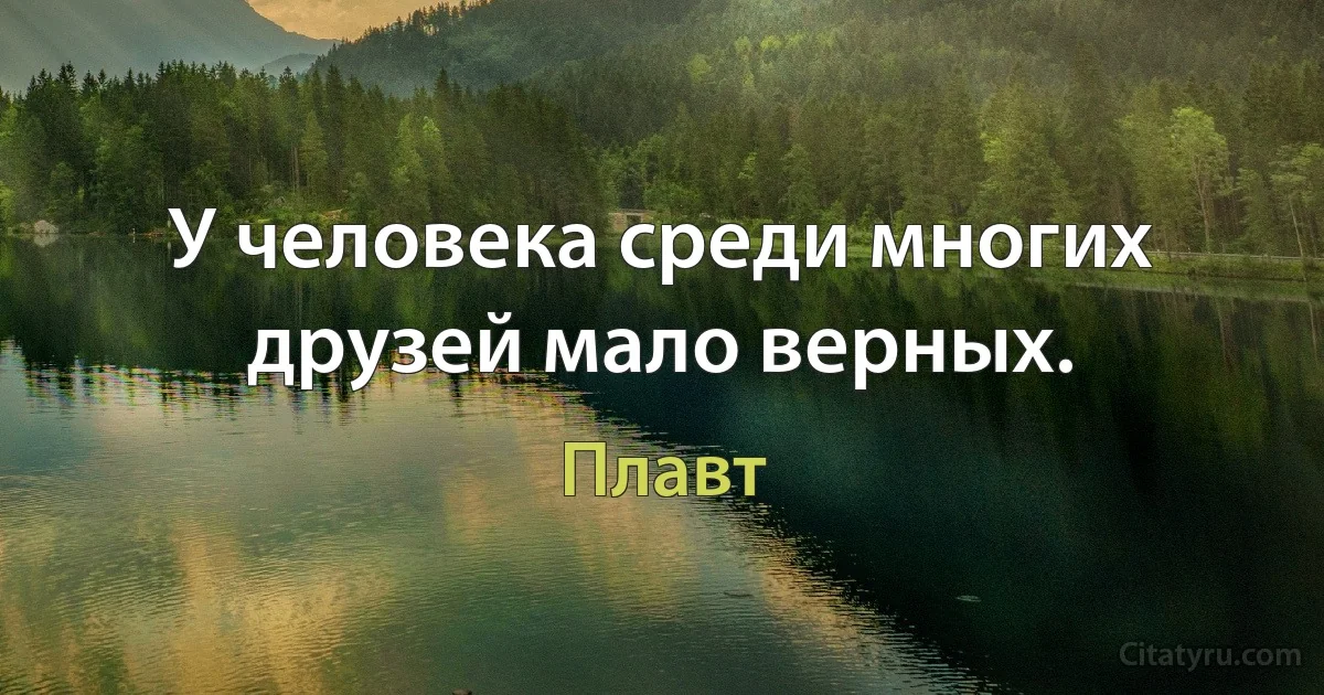 У человека среди многих друзей мало верных. (Плавт)