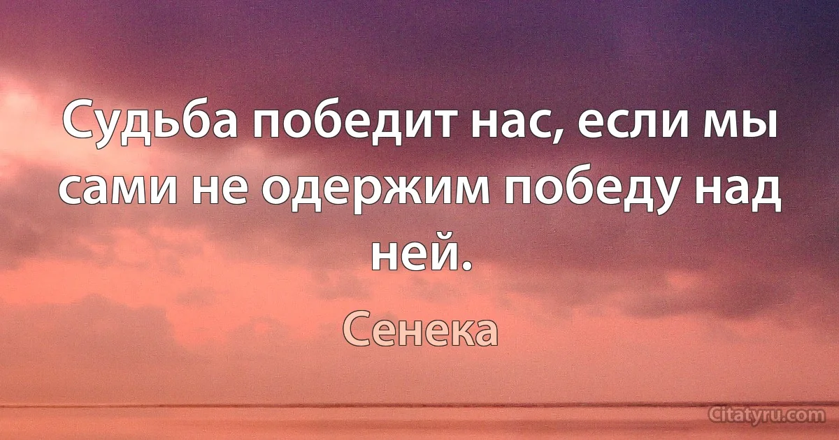 Судьба победит нас, если мы сами не одержим победу над ней. (Сенека)