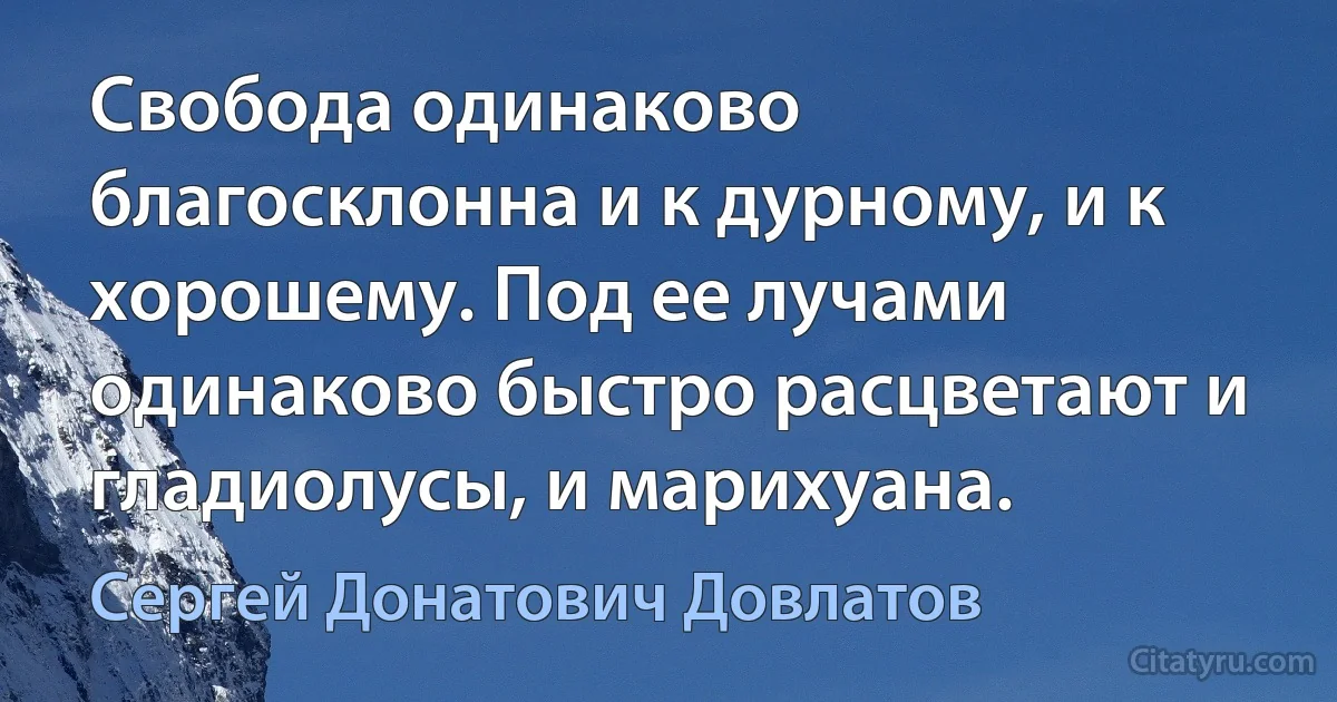 Свобода одинаково благосклонна и к дурному, и к хорошему. Под ее лучами одинаково быстро расцветают и гладиолусы, и марихуана. (Сергей Донатович Довлатов)