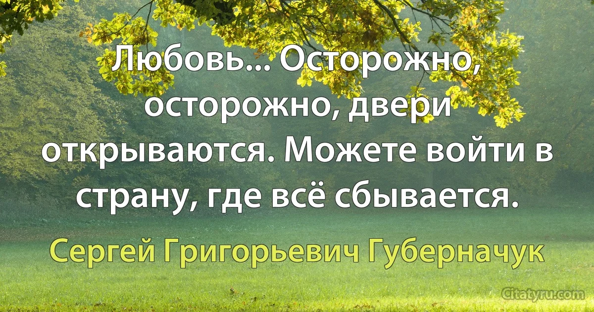 Любовь... Осторожно, осторожно, двери открываются. Можете войти в страну, где всё сбывается. (Сергей Григорьевич Губерначук)