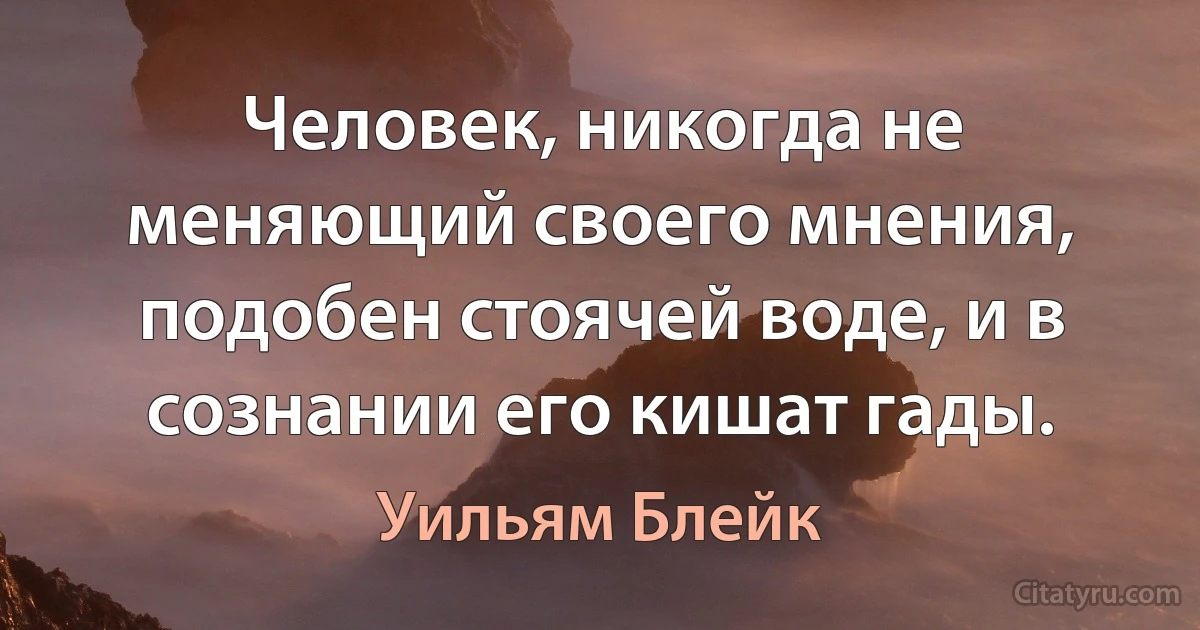 Человек, никогда не меняющий своего мнения, подобен стоячей воде, и в сознании его кишат гады. (Уильям Блейк)