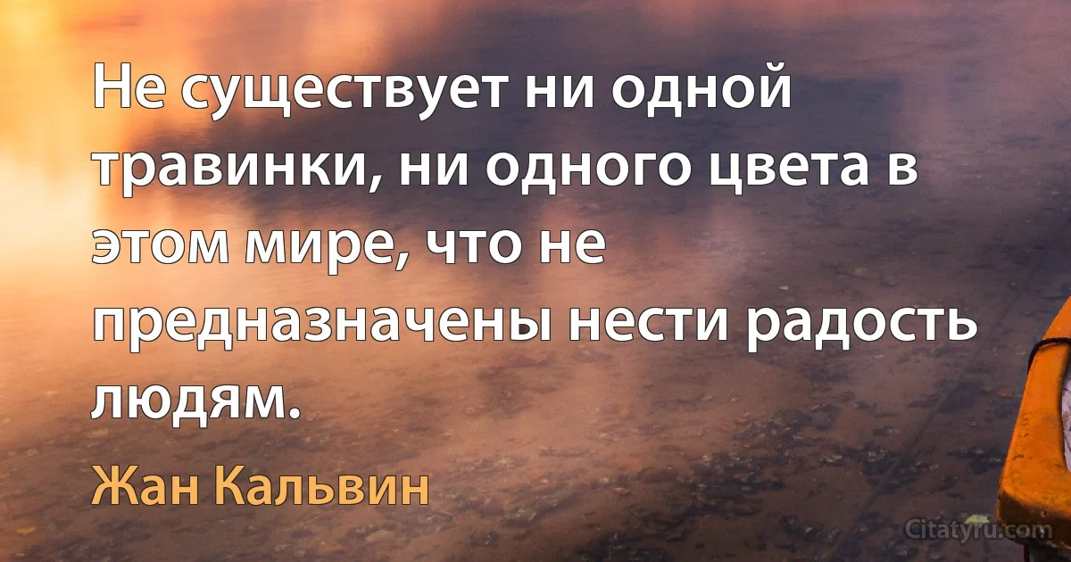 Не существует ни одной травинки, ни одного цвета в этом мире, что не предназначены нести радость людям. (Жан Кальвин)