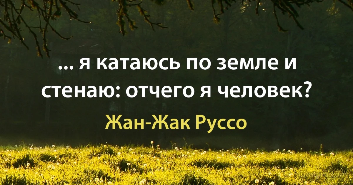 ... я катаюсь по земле и стенаю: отчего я человек? (Жан-Жак Руссо)