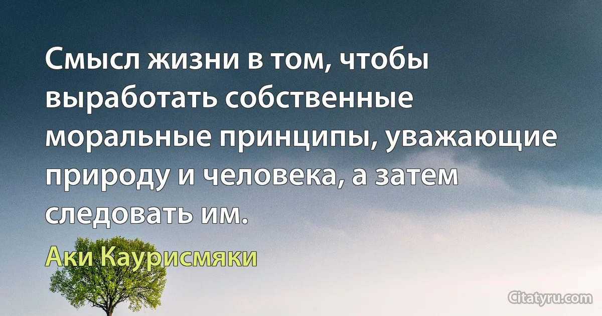 Смысл жизни в том, чтобы выработать собственные моральные принципы, уважающие природу и человека, а затем следовать им. (Аки Каурисмяки)