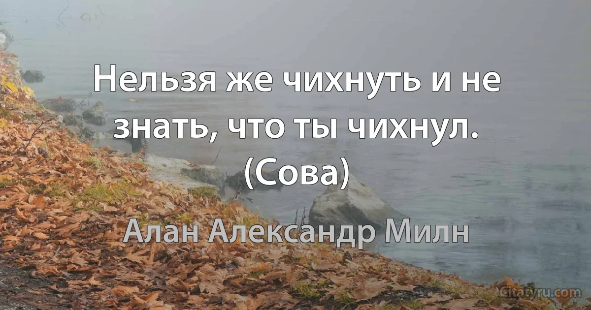 Нельзя же чихнуть и не знать, что ты чихнул. (Сова) (Алан Александр Милн)