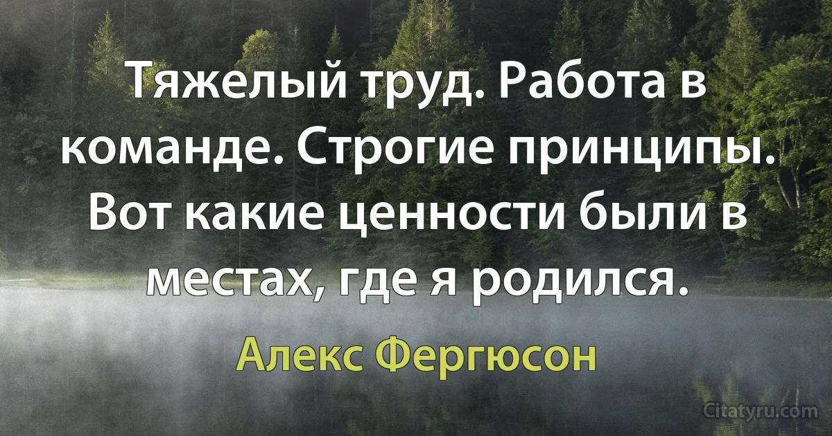 Тяжелый труд. Работа в команде. Строгие принципы. Вот какие ценности были в местах, где я родился. (Алекс Фергюсон)