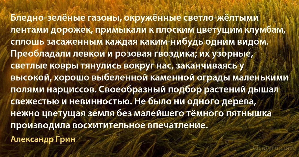 Бледно-зелёные газоны, окружённые светло-жёлтыми лентами дорожек, примыкали к плоским цветущим клумбам, сплошь засаженным каждая каким-нибудь одним видом. Преобладали левкои и розовая гвоздика; их узорные, светлые ковры тянулись вокруг нас, заканчиваясь у высокой, хорошо выбеленной каменной ограды маленькими полями нарциссов. Своеобразный подбор растений дышал свежестью и невинностью. Не было ни одного дерева, нежно цветущая земля без малейшего тёмного пятнышка производила восхитительное впечатление. (Александр Грин)