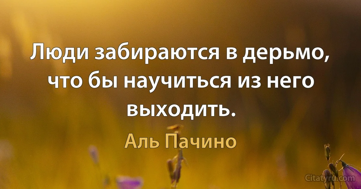 Люди забираются в дерьмо, что бы научиться из него выходить. (Аль Пачино)