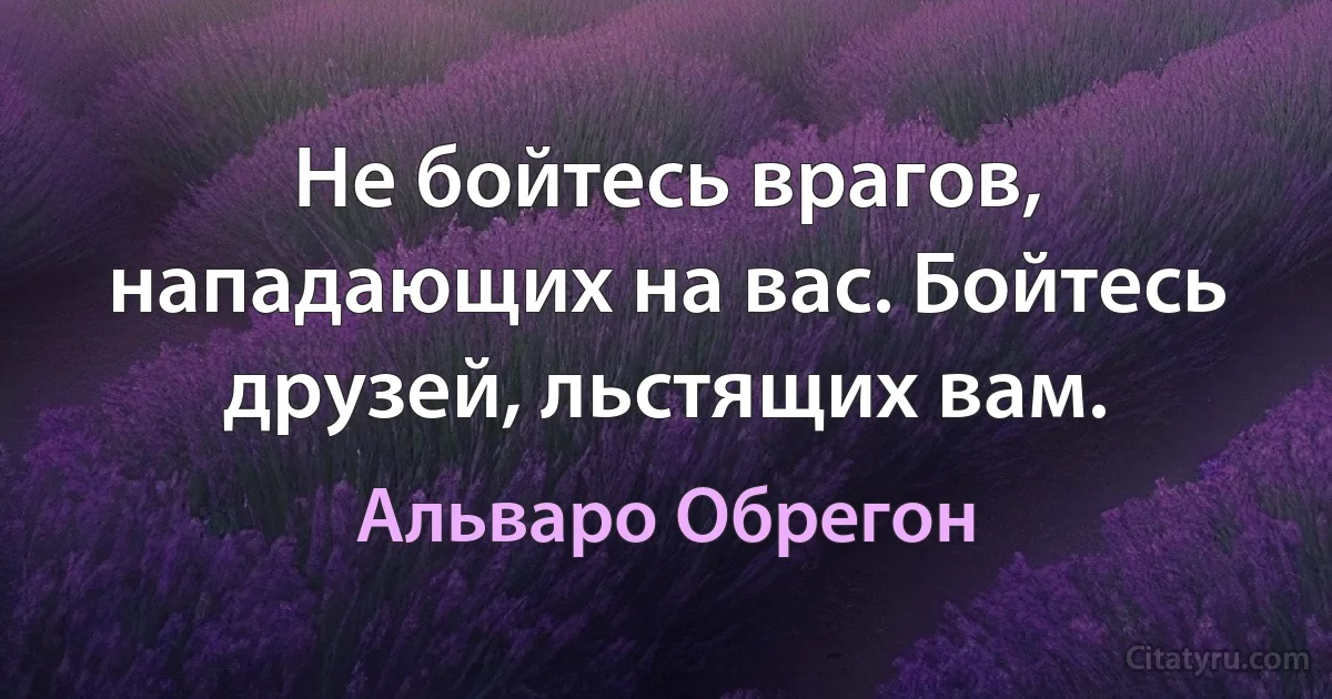 Не бойтесь врагов, нападающих на вас. Бойтесь друзей, льстящих вам. (Альваро Обрегон)