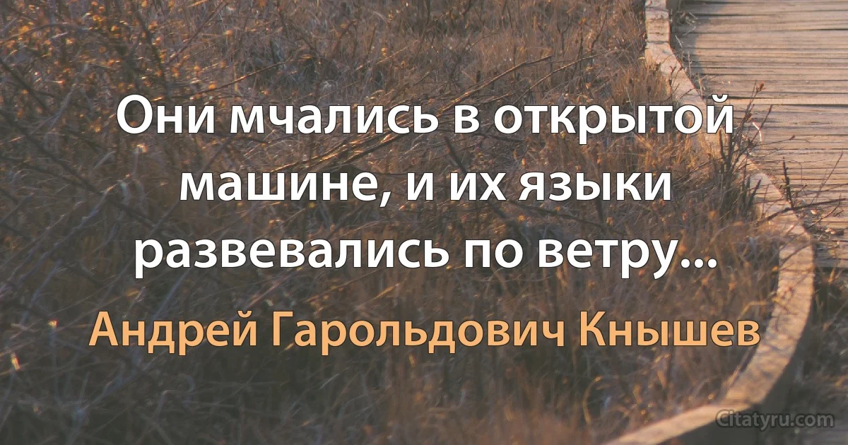 Они мчались в открытой машине, и их языки развевались по ветру... (Андрей Гарольдович Кнышев)