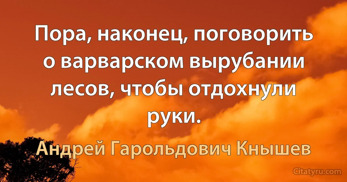 Пора, наконец, поговорить о варварском вырубании лесов, чтобы отдохнули руки. (Андрей Гарольдович Кнышев)