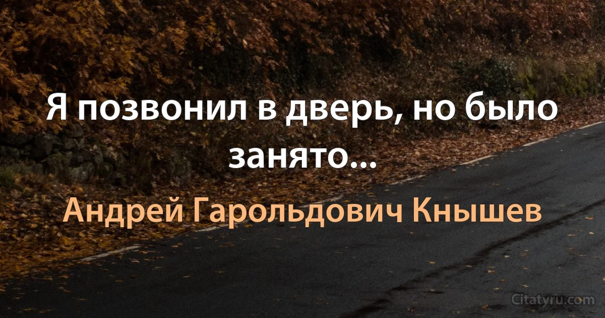 Я позвонил в дверь, но было занято... (Андрей Гарольдович Кнышев)