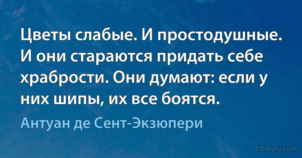 Цветы слабые. И простодушные. И они стараются придать себе храбрости. Они думают: если у них шипы, их все боятся. (Антуан де Сент-Экзюпери)