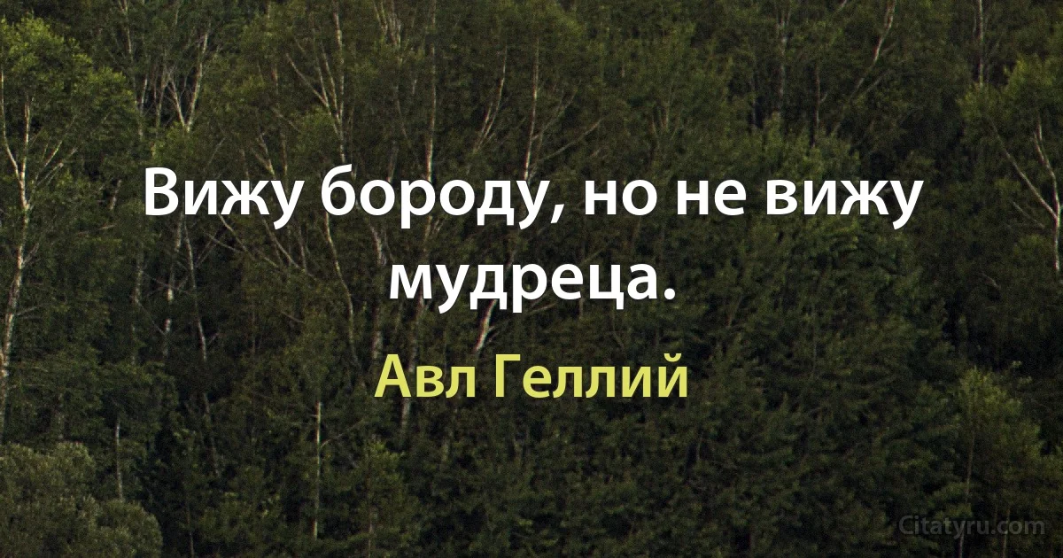 Вижу бороду, но не вижу мудреца. (Авл Геллий)